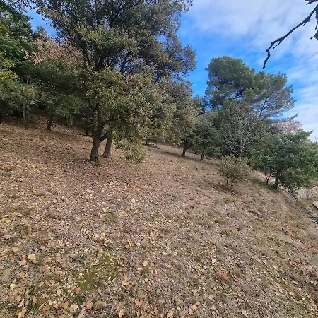 Ecrin De Verdure *